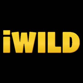 iWild Casino logo – kasyno internetowe